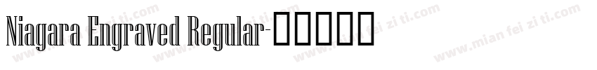 Niagara Engraved Regular字体转换